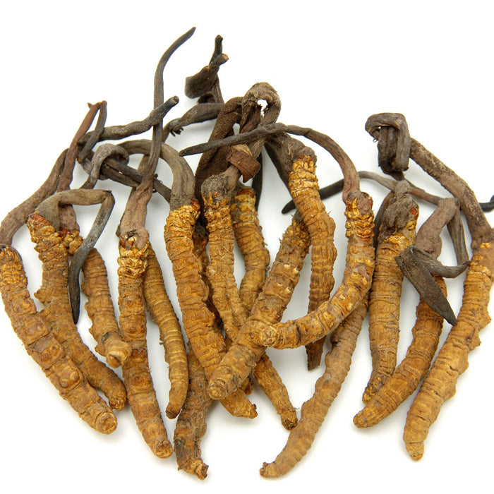CORDYCEPS COFFEE 3 IN 1