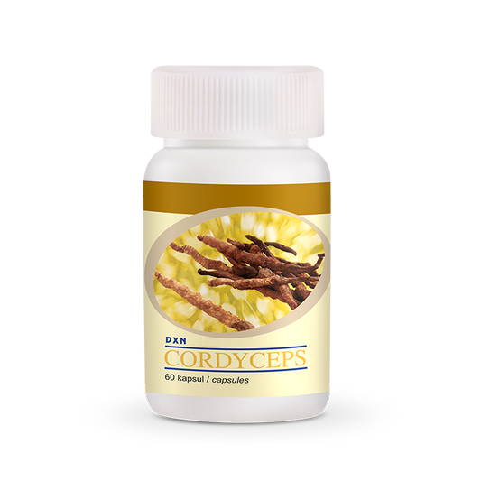 Κόρντισεπς